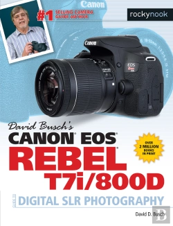 Bertrand.pt - David Busch'S Canon Eos Rebel T7i/800d Guide To Digital Slr Photography