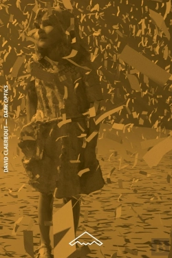 Bertrand.pt - David Claerbout : Dark Opticks (B2-96)