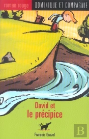 David Et Le Précipice