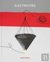 David Goldes: Electricities