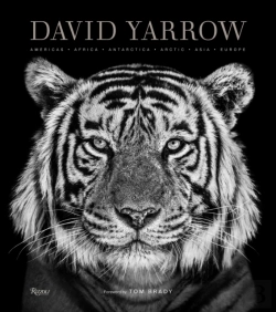 Bertrand.pt - David Yarrow Photography