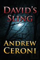 David'S Sling