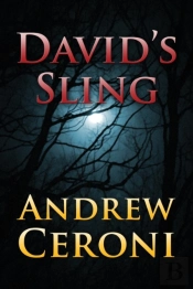 David'S Sling