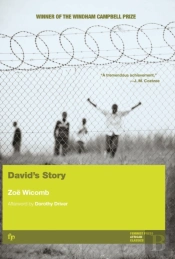 David'S Story