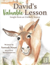 David'S Valuable Lesson