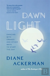 Dawn Light