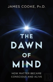 Dawn Of Mind