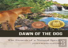 Dawn Of The Dog