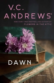 Dawn
