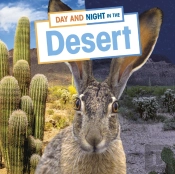 Day And Night In The Desert