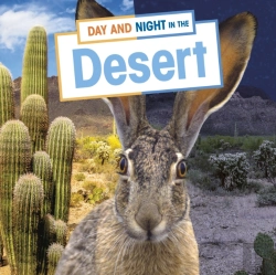 Bertrand.pt - Day And Night In The Desert
