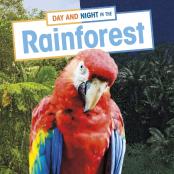 Day And Night In The Rainforest