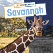 Day And Night In The Savannah