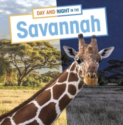 Bertrand.pt - Day And Night In The Savannah