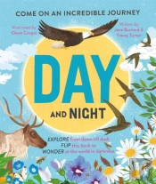 Day And Night