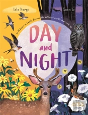 Day And Night