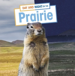 Bertrand.pt - Day And Night On The Prairie