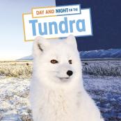 Day And Night On The Tundra