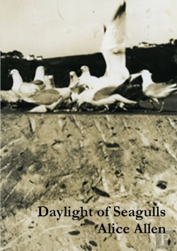 Bertrand.pt - Daylight Of Seagulls