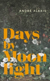 Days By Moonlight