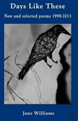 Bertrand.pt - Days Like These: Selected And New Poems 1998-2013