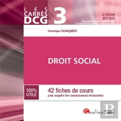 Dcg 3 - Droit Social 8eme Edition