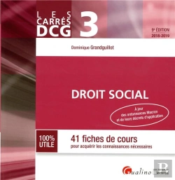 Bertrand.pt - Dcg 3 - Droit Social - 9eme Edition - 42 Fiches De Cours Pour Acquerir Les Connaissances Necessaires