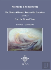 De Blancs Oiseaux Boivent La Lumière ; Nuit De Grand Vent