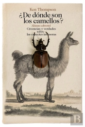 ¿De Dónde Son Los Camellos?