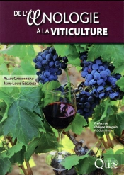 De L Oenologie A La Viticulture