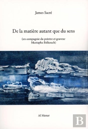 De La Matiere Autant Que Du Sens