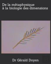 De La Metaphysique A La Biologie Des Dimensions
