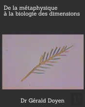 De La Metaphysique A La Biologie Des Dimensions