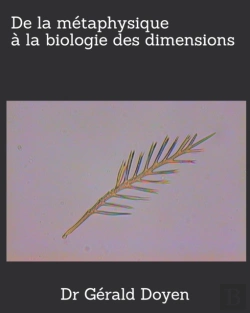 Bertrand.pt - De La Metaphysique A La Biologie Des Dimensions