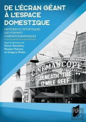 De L'Écran Géant À L'Espace Domestique : Histoires Et Esthétiques Des Formats Cinématographiques