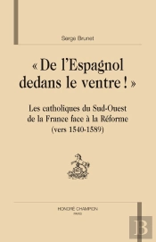 'De L'Espagnol Dedans Le Ventre !' ; Les Catholiques Du Sud-Ouest De La France Face À La Réforme