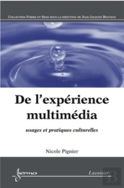 De L'Expérience Multimédia Usages Et Pratiques Culturelles