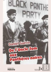 De L'Oncle Tom Aux Panthères Noires