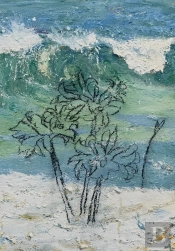 De Natura Maris - Urbano