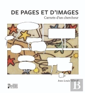 De Pages Et D'Images : Carnets D'Un Chercheur