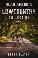 Dead America Lowcountry Collection Part 1 - Books 1 - 6