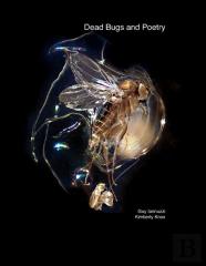 Dead Bugs And Poetry