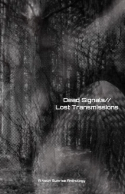 Bertrand.pt - Dead Signals//Lost Transmissions