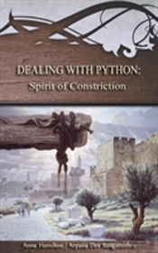 Dealing With Python