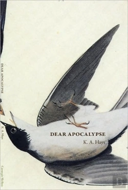 Bertrand.pt - Dear Apocalypse