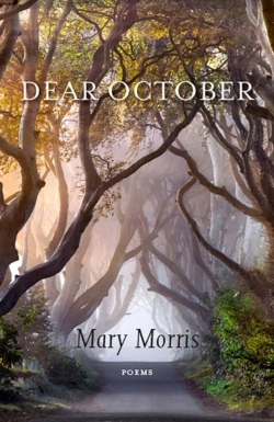 Bertrand.pt - Dear October