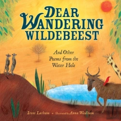 Bertrand.pt - Dear Wandering Wildebeest