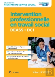 Deass Dc1 Le Dossier De Pratiques Professionnelles