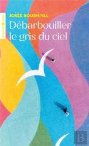 Débarbouiller Le Gris Du Ciel