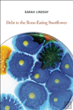 Bertrand.pt - Debt To The Bone-Eating Snotflower